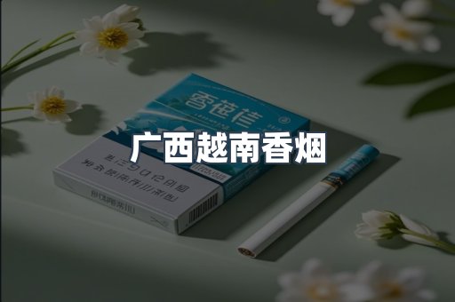 广西越南香烟